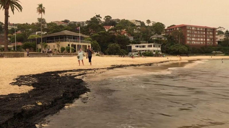 Pláže v Sydney pokryl popel z lesních požárů